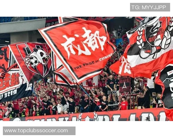 成都篮球队心理素质引发热议球迷对球队表现的看法与争论